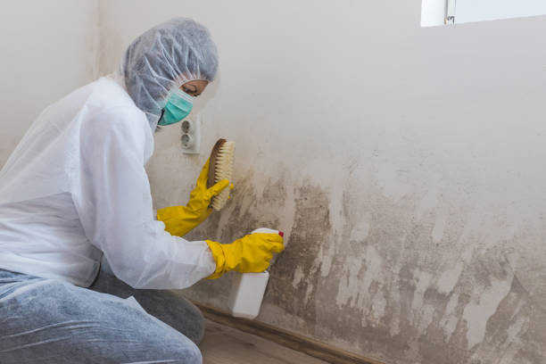Best Commercial Mold Inspection  in Six Mile, SC