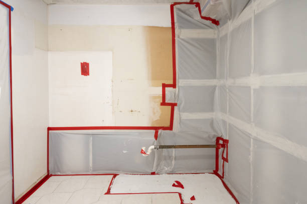 Best Biohazard Mold Removal  in Six Mile, SC