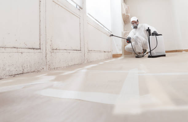 Best Mold Odor Removal Services  in Six Mile, SC